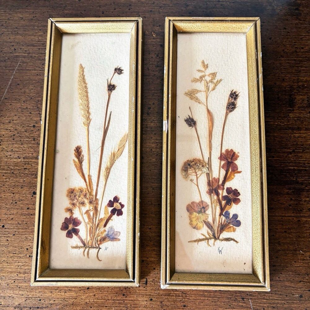 Set Vintage Pressed Flower Framed East Germany 7.5”x2.75” Cottage Core Signed